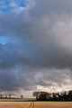 Dark storm clouds clearing to show a blue sky over a distant copse of trees and a field of stubble