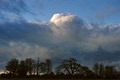A heavy band of dark clouds against a blue evening sky, with a row of bare trees in silhouette on the skyline A heavy band of dark clouds against a blue evening sky, with a row of bare trees in silhouette on the skyline