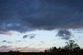 A heavy band of dark cloud against a light evening sky, with a copse of trees in silhouette on the skyline A heavy band of dark cloud against a light evening sky, with a copse of trees in silhouette on the skyline
