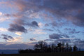 Pink tinted dark clouds against a blue evening sky, with a copse of trees in silhouette on the skyline