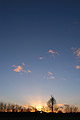 The last rays of the sun through bare winter trees on the skyline under a big almost clear deep blue sky The last rays of the sun through bare winter trees on the skyline under a big almost clear deep blue sky