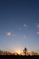 The last rays of the sun through bare winter trees on the skyline under a big almost clear deep blue sky