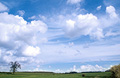 Cumulus clouds in a blue sky over a sunny English landscape