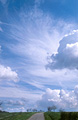 Puffy white clouds in a blue sky over a strip of green fields