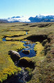 Bright moss lines an isolated stream in Icelandic landscape. Myrdalsjökull [Myrdalsjokull] in the background